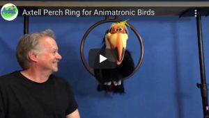 Bird Perch