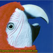 Real Macaw