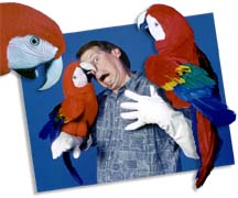Parrot Macaw Puppet