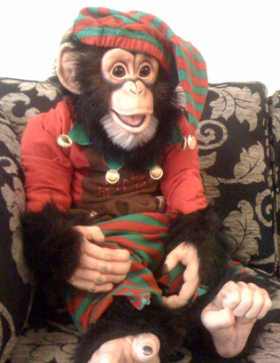 Michael Fitch's Christmas Chimp