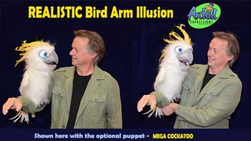 Realistic Bird Arm Illusion