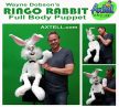 Ringo Rabbit Puppet Full Body