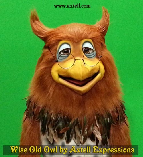 Wise Old Owl Puppet